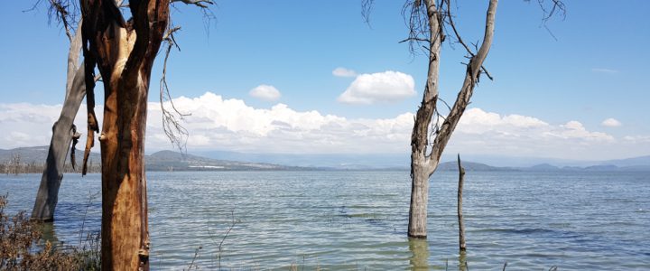 Water Shortages at Water Rich Bodies – Observing the Water-Conflict Nexus at Lake Naivasha